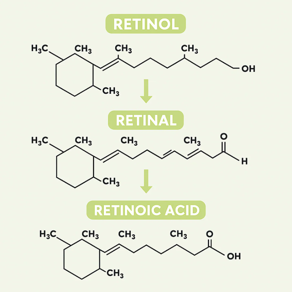 Fiorea® Retinal Shot - Adiós Arrugas
