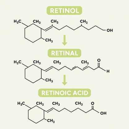 Fiorea® Retinal Shot - Adiós Arrugas